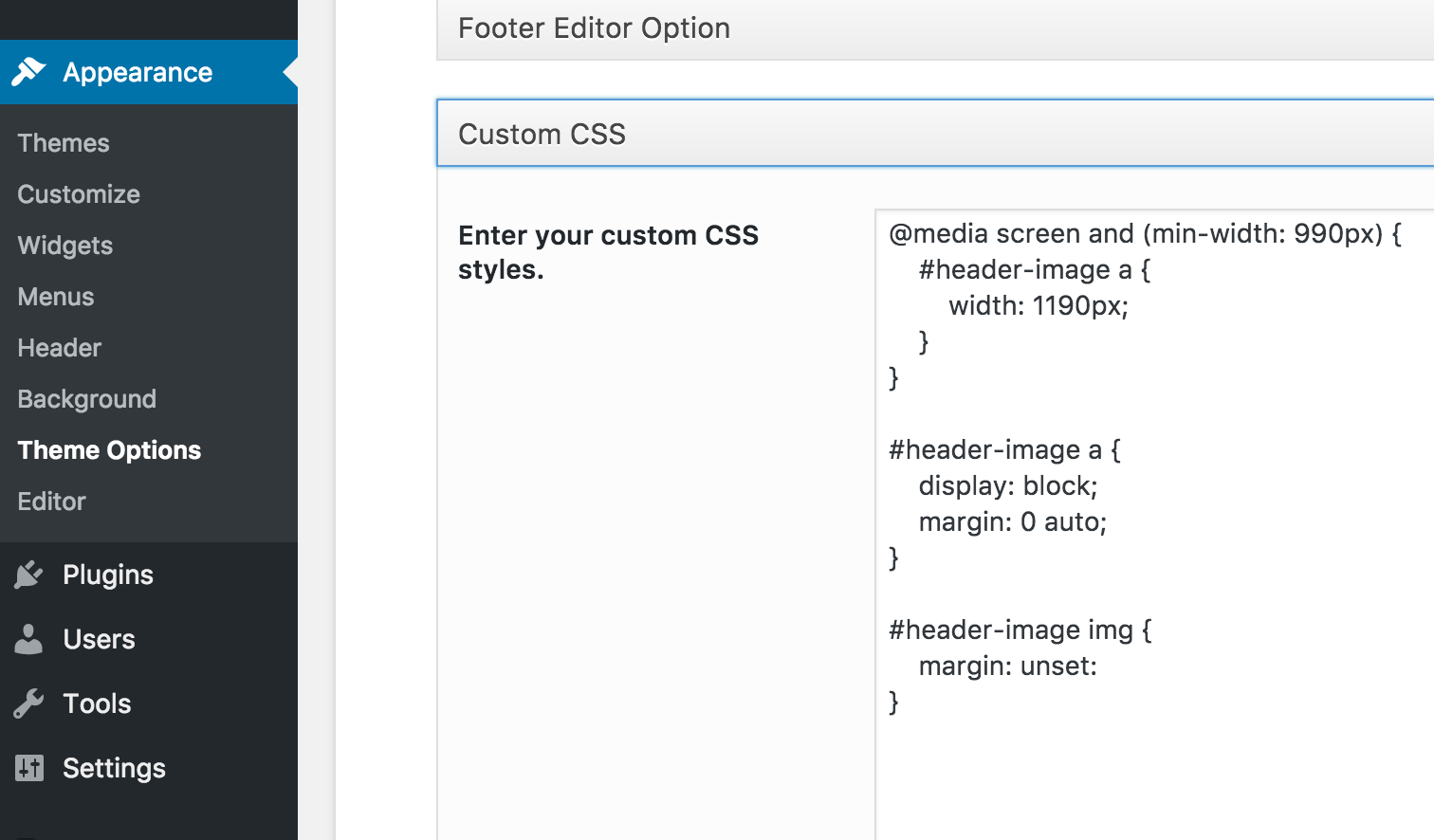 Screen shot of CSS as entered